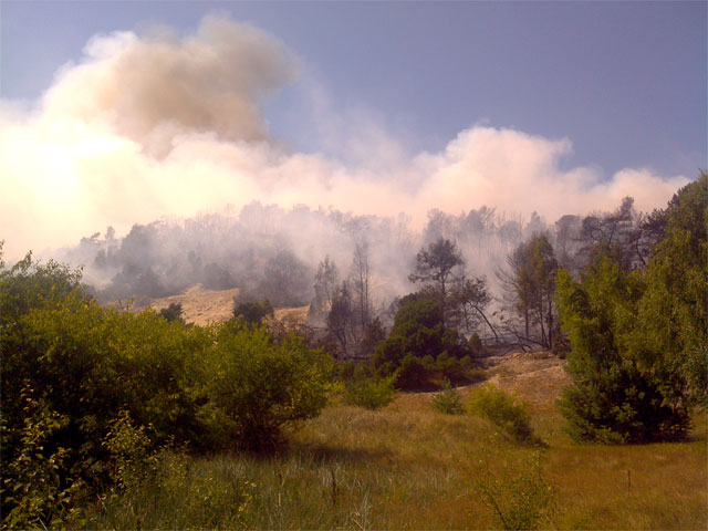 Национальный парк "Куршская коса" пережил серьезный пожар. Ущерб, нанесенный стихией, еще только предстоит подсчитать