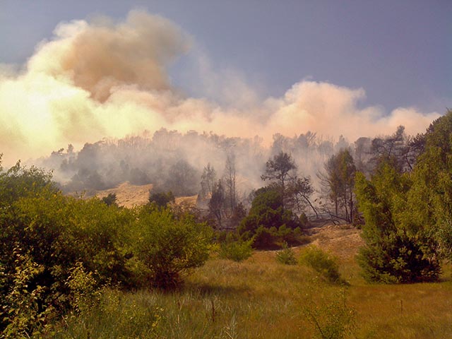 Уголовное дело возбуждено по факту крупного пожара в Калининградской области, уничтожившего несколько гектаров зеленых насаждений национального парка "Куршская коса"