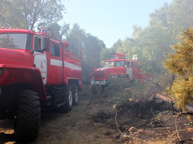 Пожар на территории национального парка на Куршской косе нанес ущерб особо охраняемой природной зоне в размере 280 миллионов рублей