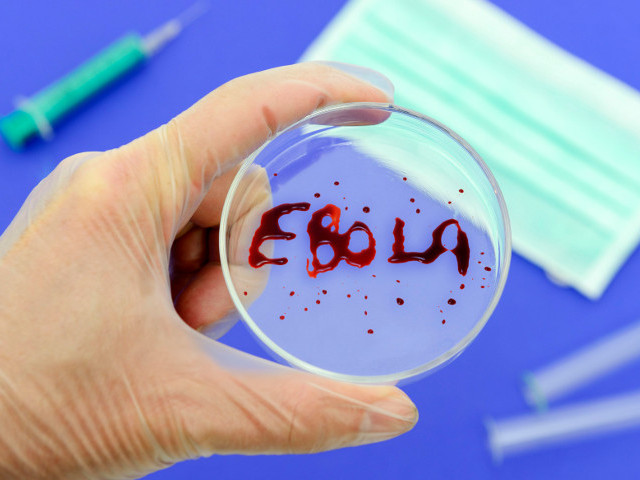 Белый дом удовлетворил запрос властей Либерии на предоставление образцов экспериментальной вакцины для борьбы с болезнью, вызванной вирусом Эбола