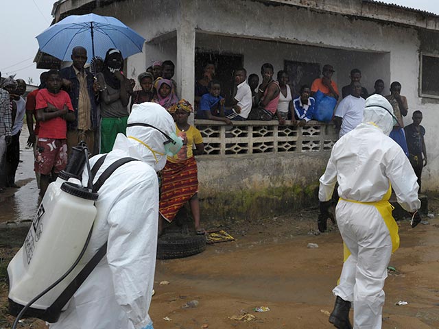 Число жертв лихорадки Эбола в Западной Африке возросло до 1350 человек, сообщает агентство Reuters со ссылкой на Всемирную организацию здравоохранения (ВОЗ)