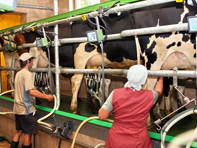 Несколько крупных предприятий молочной промышленности обратились в Россельхознадзор в связи с реальной угрозой остановки производства из-за сокращения поставок в Россию так называемых индустриальных молочных ингредиентов