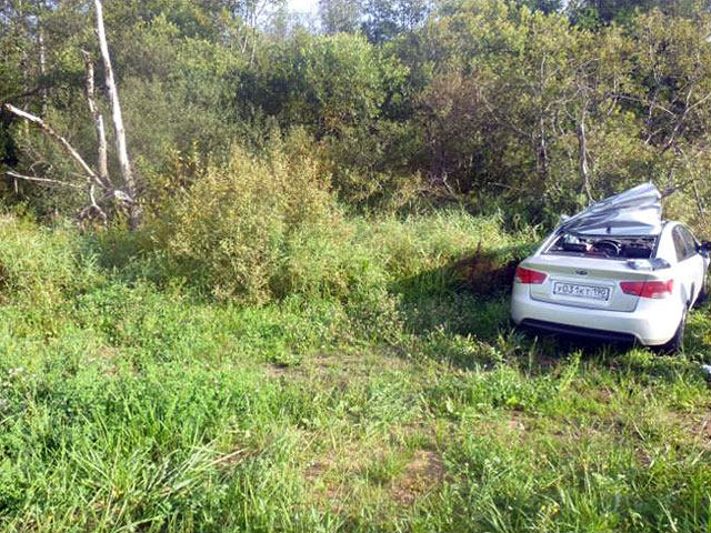 Подмосковный полицейский погиб в ДТП с лосем: автомобиль потерял управление и съехал в кювет
