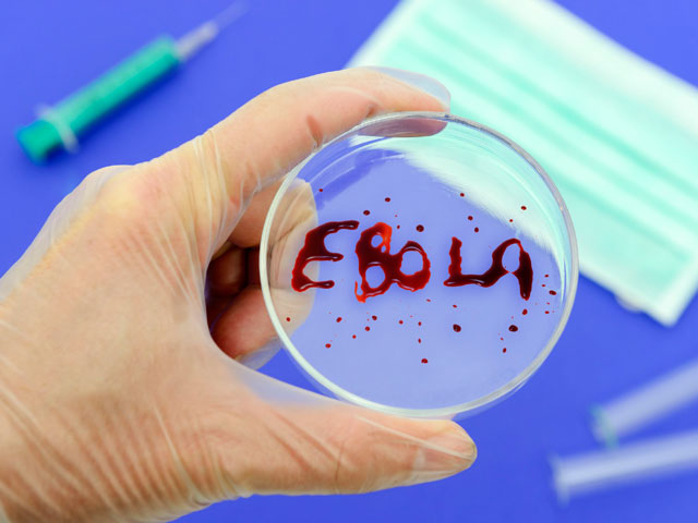 Япония предложила бороться с лихорадкой Эбола антигриппозным препаратом Favipiravir 