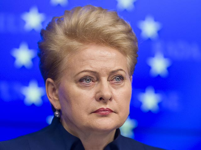 Президент Литвы Даля Грибаускайте по прибытии на саммит ЕС заявила, что Россия "практически ведет войну" с Украиной, в которой Украина "воюет за всю Европу". Она уверена, что нужно "ожидать большего" от НАТО
