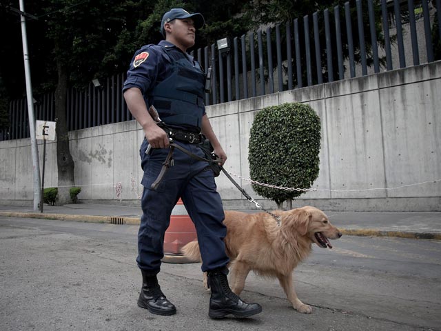 В Мексике при штурме тренировочного лагеря наркокартеля Los Zetas убиты три бандита
