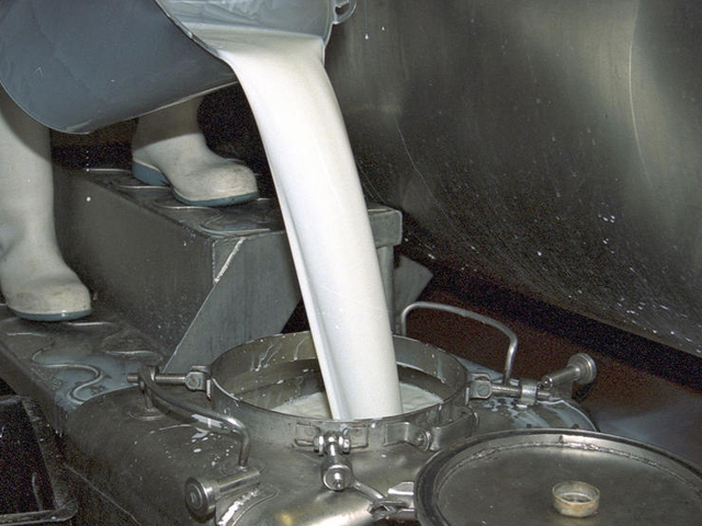 Европейское молоко уже поступает на переработку белорусским молочникам с тем, чтобы в дальнейшем отправиться на российский рынок