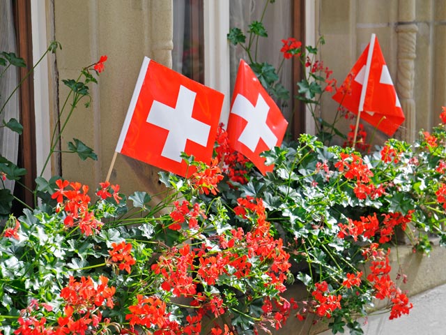"Социальное безумие": в швейцарской деревне поднимают налоги, чтобы содержать семью беженцев с растущими запросами