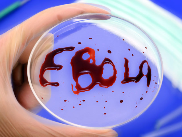 Ученые из Таиланда заявили о громком открытии - найдена вакцина против смертельного вируса Эбола, от которого погибли уже более трех тысяч человек