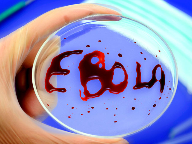 Франуцзские и немецкие врачи в субботу рапортовали об излечении пациентов, заболевших лихорадкой Эбола