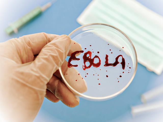 "Врачи без границ" сообщили, что их сотрудник родом из Норвегии заразился вирусом в Сьерра-Леоне. Кроме того, в Мадриде инфицирована медсестра, которая лечила больного Эболой миссионера