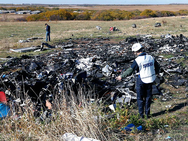 В Донецкой области возобновила работу международная комиссия по поиску личных вещей и останков пассажиров Boeing 777, который 17 июля потерпел крушение недалеко от села Грабово