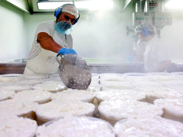 Производство итальянских сортов сыра в Валаамском монастыре, которое начнется с декабря 2014 года &#8212; это не ответ на те экономические санкции, которые были введены против РФ, а пример для предпринимателей