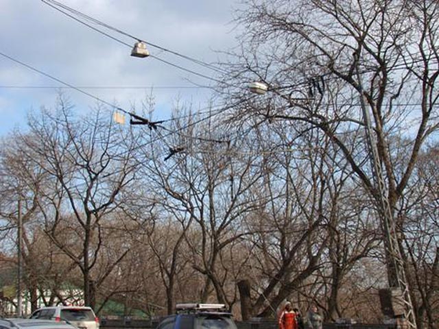 В Татарстане и Чувашии десятки населенных пунктов без света из-за сильного ветра