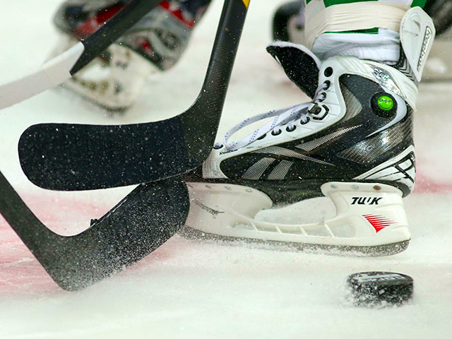 Восьмилетний мальчик скончался в результате попадания вылетевшей со льда шайбы во время матча второго дивизиона чемпионата Франции по хоккею между "Дюнкерком" и "Реймсом"