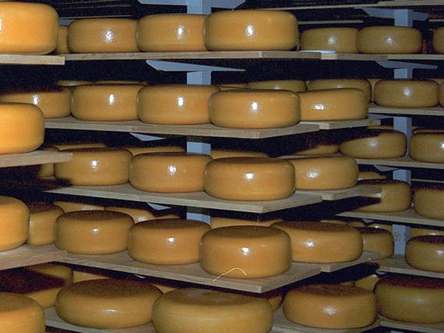 Крупнейший датско-шведский производитель молочной продукции Arla решил раздать бездомным датчанам 15 тонн сыра, избыток которого образовался из-за эмбарго России на поставки сельхозпродукции из стран ЕС