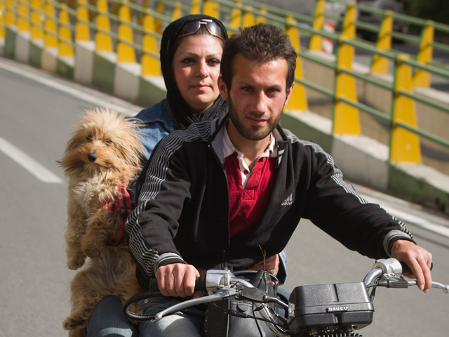 Депутаты парламента Ирана разработали законопроект, запрещающий покупать, держать и выгуливать собак, а также играть с ними в общественных местах