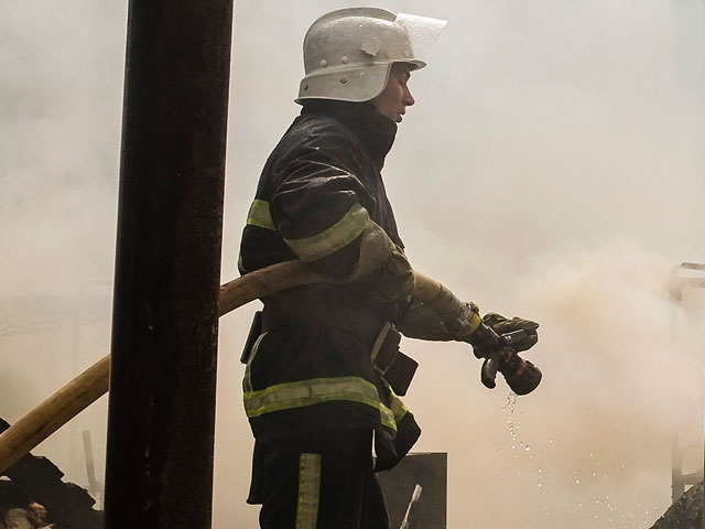 В Киеве локализовали пожар в парке Пушкина