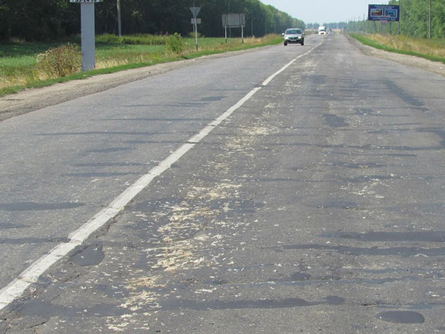 В августе этого года из грузовика с мертвой птицей на дорогу выпали останки, покрывшие 20 километров шоссе