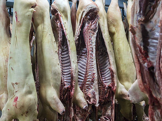 Речь идет о 7,5 тысячах тонн мяса, отправленного в Казахстан из Евросоюза транзитом через белорусские пункты пропуска по поддельным бразильским и литовским ветеринарным сертификатам