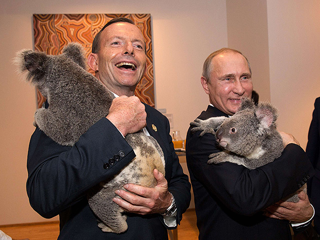 За появление коал на саммите G20 Австралии пришлось заплатить круглую сумму. СМИ обсуждают, во сколько обошлась фотосессия мировых лидеров с животными, названа сумма в 24 тысячи австралийских долларов (16 тыс. евро)