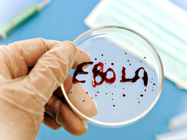 От вспышки лихорадки Эбола умерли более 6000 человек, сообщила Всемирная организация здравоохранения