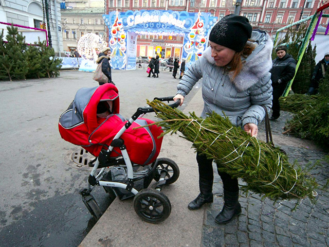 "Гринпис" советует россиянам встречать Новый год без искусственных елок, но с еловыми букетами