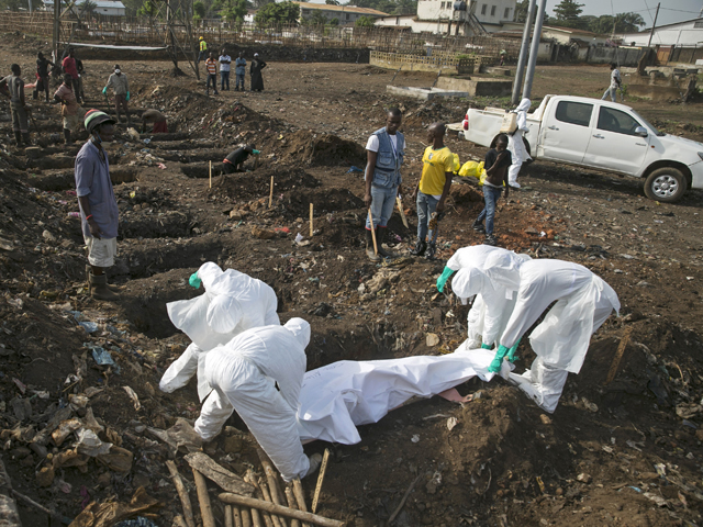 От лихорадки Эбола погибли уже более восьми тысяч человек, заявили в ВОЗ