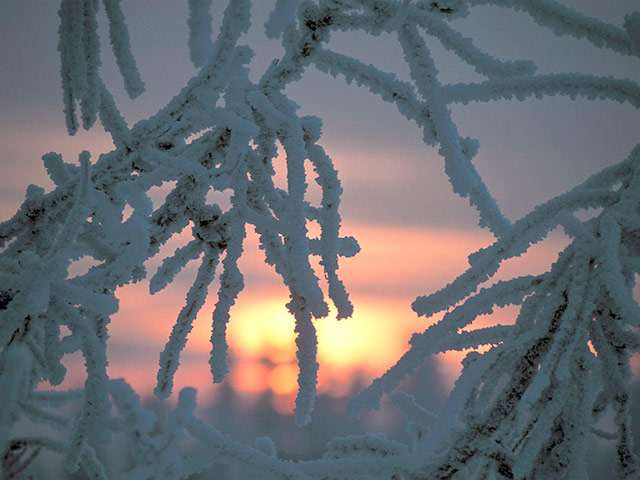 В Мурманске отметили окончание 40-дневной полярной ночи