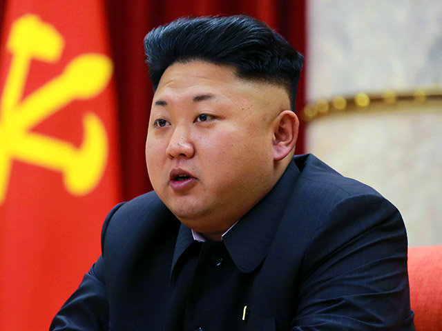 Международная группа активистов Freedom Now запустила на краудфандинговой платформе Indiegogo сбор 10 миллионов долларов, которые они собираются потратить на "исключительную миссию" - "положить конец тиранической власти" лидера КНДР Ким Чен Ына 