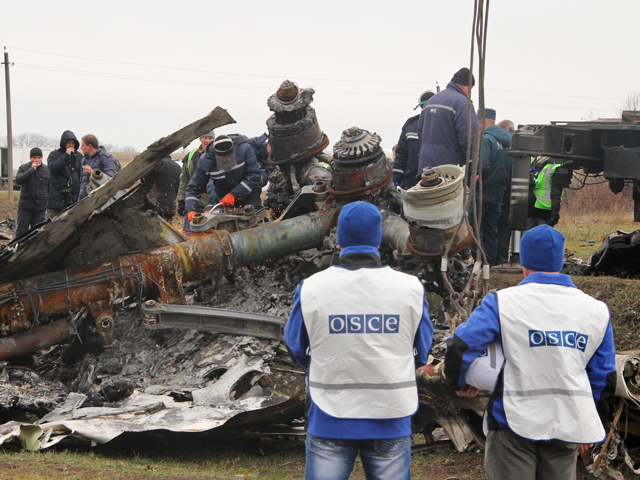 Представители ОБСЕ на месте крушения малайзийского самолета Boeing