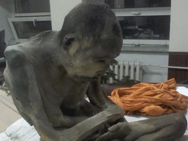 В Улан-Баторе найдено нетленное тело буддийского учителя
