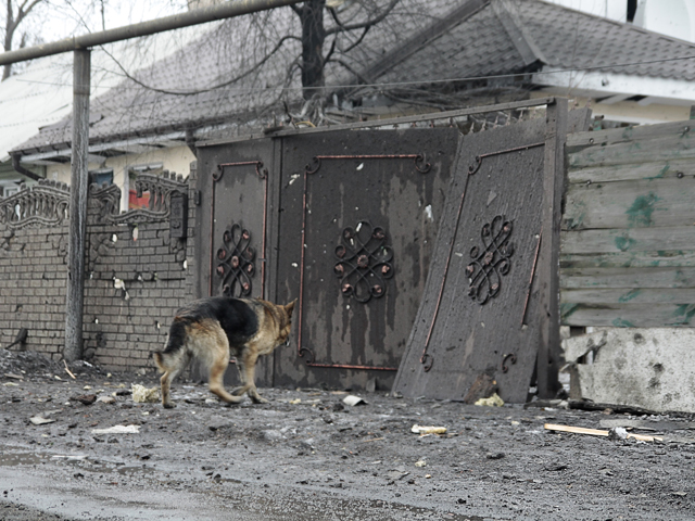 Конфликт на востоке Украины длится уже почти год - с марта 2014 года. По данным ООН, с апреля 2014 года жертвами конфликта на Украине стали более пяти тысяч человек и еще около 11 тысяч пострадали