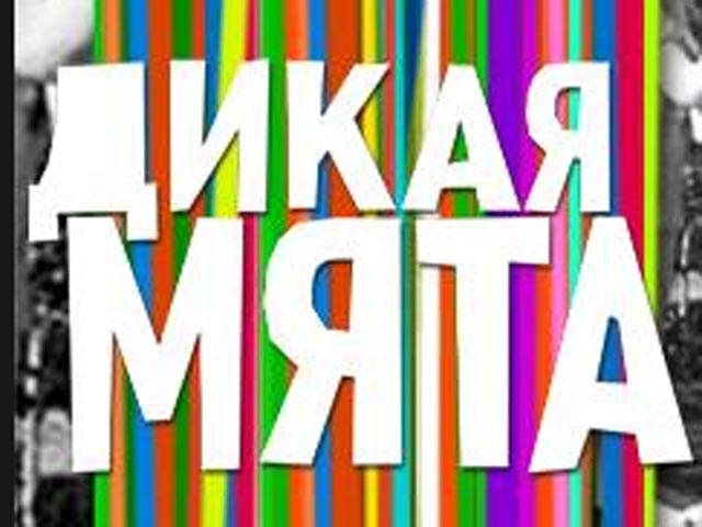 Фолк-фестиваль "Дикая мята" переедет в Тульскую область