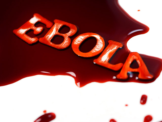 Фармацевты, которые занимались разработкой лекарства от лихорадки Эбола, бушующей в Западной Африке, могут ликовать: клинические испытания средства, которое может стать лекарством от страшного заболевания, дало "обнадеживающие" результаты