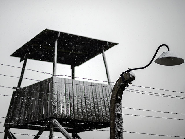 В Эстонии открылась выставка, на которой предлагают посмеяться над Холокотом