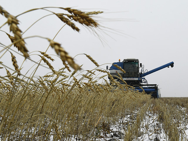 По данным Комитета по статистике Казахстана, в 2014 году страна собрала 17,2 млн т зерна, в том числе 13 млн т пшеницы, но Национальная палата предпринимателей отмечала ее плохое качество