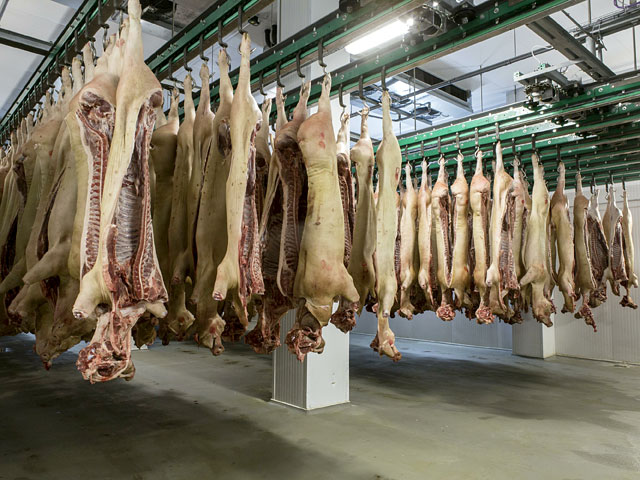 Еврокомиссия (ЕК), высший орган исполнительной власти ЕС, в марте запустит новую программу помощи рынку свиного мяса в связи с российским продовольственным эмбарго 