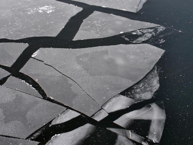 В Новгородской области ищут девочку, уплывшую на отколовшейся от берега льдине