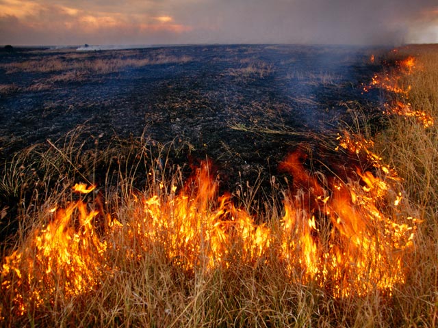 Священники по просьбе мордовских пожарных расскажут о том, что жечь сухую траву опасно