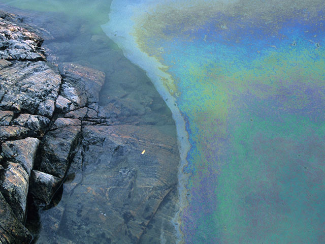 Экологи сообщают о разливах нефти на Сахалине
