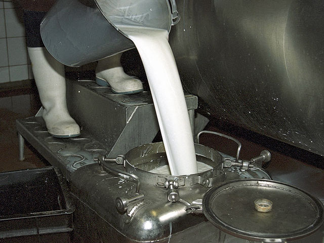 Производство отечественного молока продолжает сокращаться