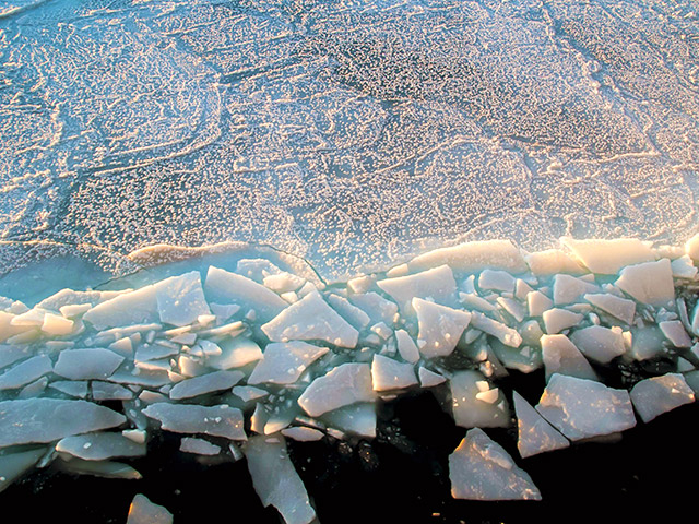 Ученые-гляциологи из Франции и Италии планируют создать в Антарктике хранилище образцов льда из разных стран мира на случай таяния ледников