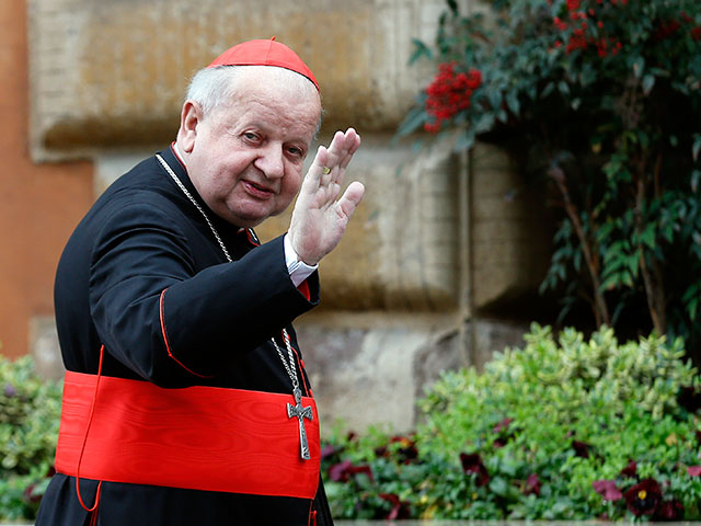 В РПЦ отреагировали на заявление архиепископа Кракова кардинала Станислава Дзивиша. По словам кардинала, патриарх якобы отклонил приглашение встретится с Папой Римским в Кракове в 2016 году в рамках Всемирного дня молодежи