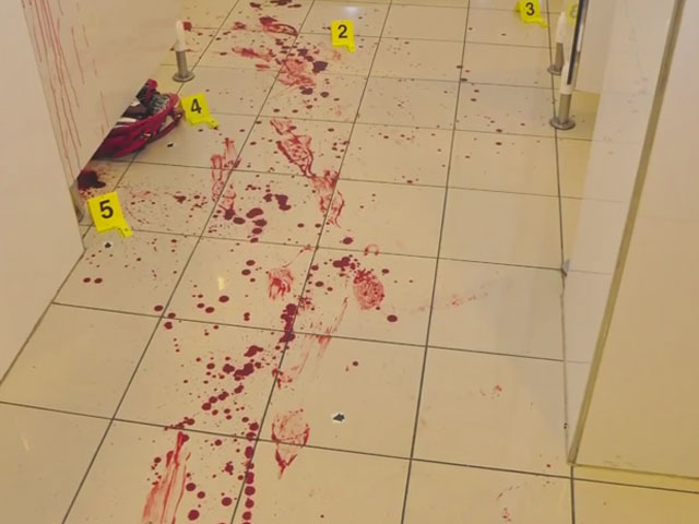 В Объединенных Арабских Эмиратах проходит судебный процесс по уголовному делу об убийстве преподавательницы из США. Это преступление было совершено прямо в торговом центре в Абу-Даби