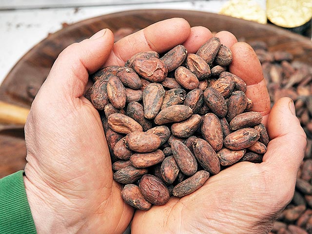 Российские кондитеры просят отменить пошлины на какао-продукты