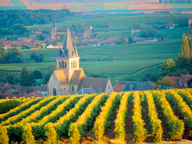 Французские исторические области Шампань и Бургундия включены в минувшую субботу в список Всемирного наследия ЮНЕСКО