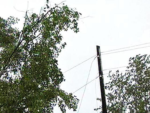 В Томске устраняют последствия ночного шквального ветра и грозы: к утру более 800 человек обратились в оперативно-дежурную службу города с сообщениями об обрывах электросетей, падении деревьев, повреждении автомобилей и подтоплении дорог