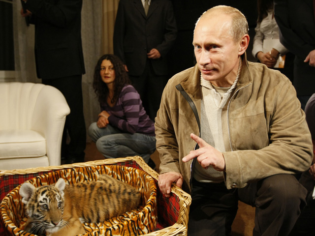 Владимир Путин знакомит журналистов с тигренком, которого ему подарили на день рождения 7 октября 2008 года