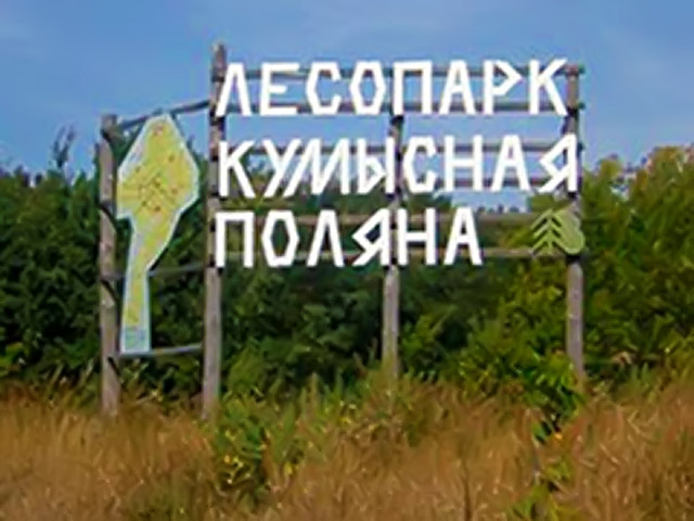 Сотрудники управления СК РФ по Саратовской области выясняют обстоятельства группового сексуального преступления, совершенного в лесопарке "Кумысная поляна"